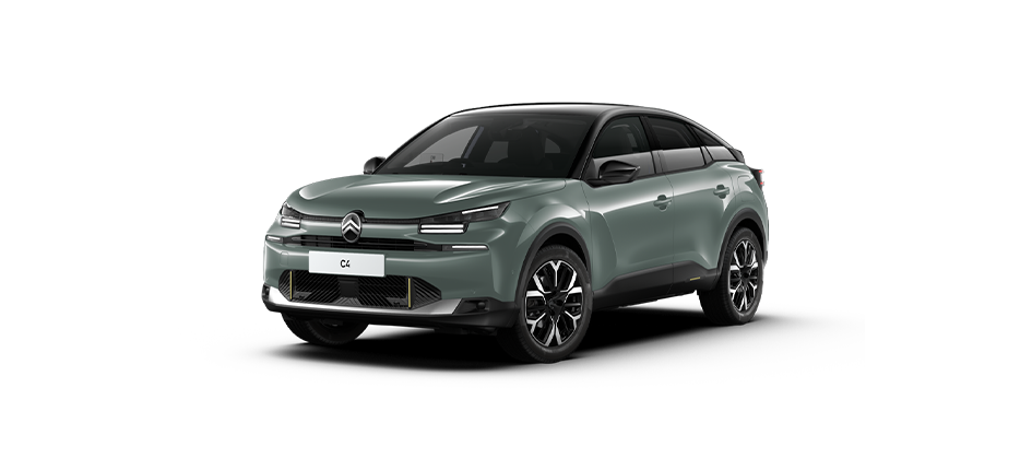 MAX Hybrid Black Roof